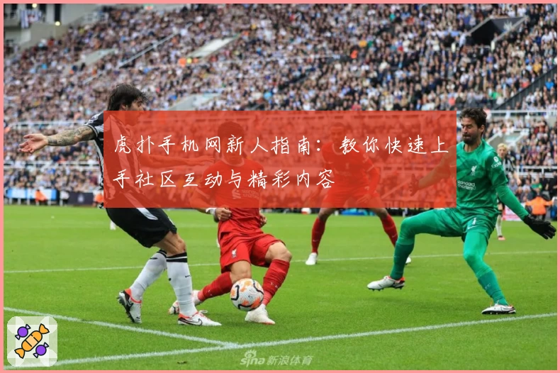虎扑手机网新人指南：教你快速上手社区互动与精彩内容