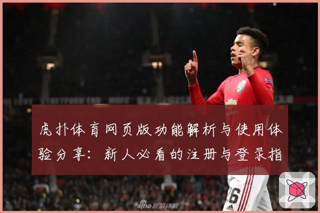 虎扑体育网页版功能解析与使用体验分享：新人必看的注册与登录指南
